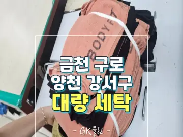 강서구 사업장 세탁 작업