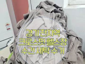 경기 크로스핏 세탁 작업