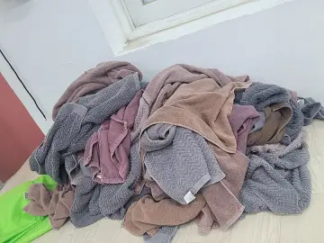 일산 기업·관공서 세탁 작업