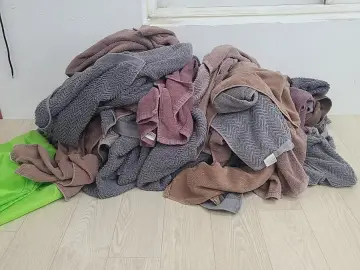일산 기업·관공서 세탁 작업